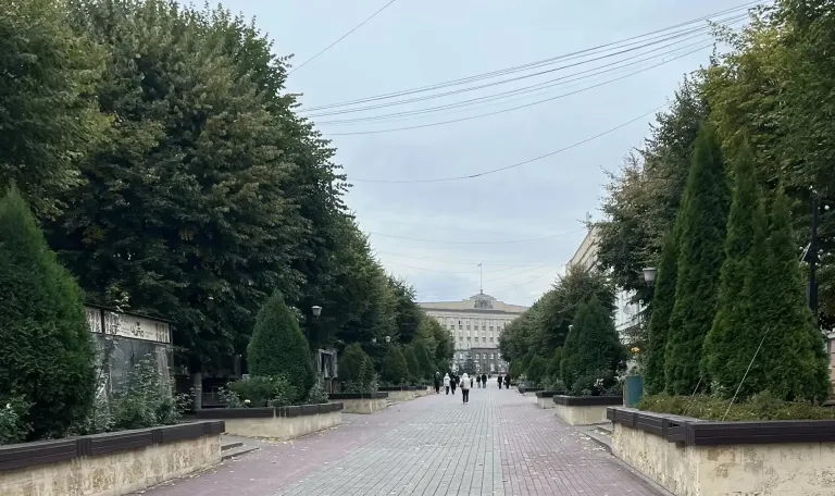 Орловские власти сократили программу развития чиновников на 21,2 млн